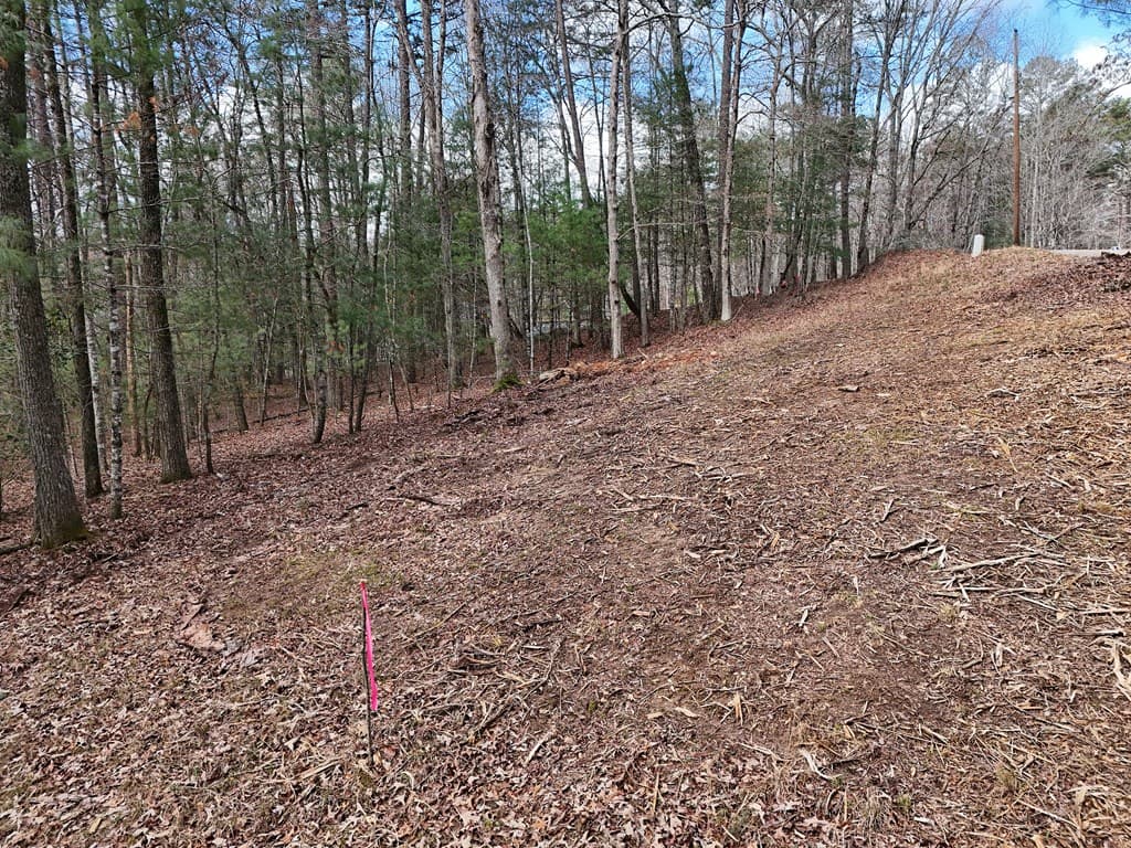 LT 45A Synacia Drive, Mineral Bluff GA 30559 - Photo