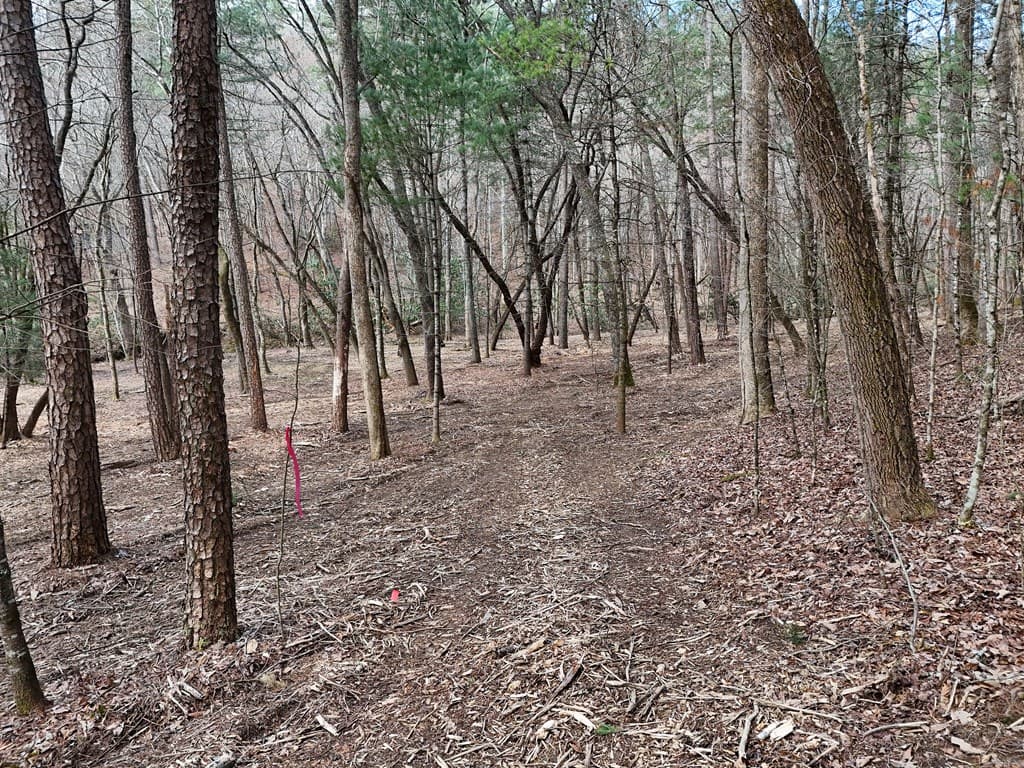 LT 45A Synacia Drive, Mineral Bluff GA 30559 - Photo