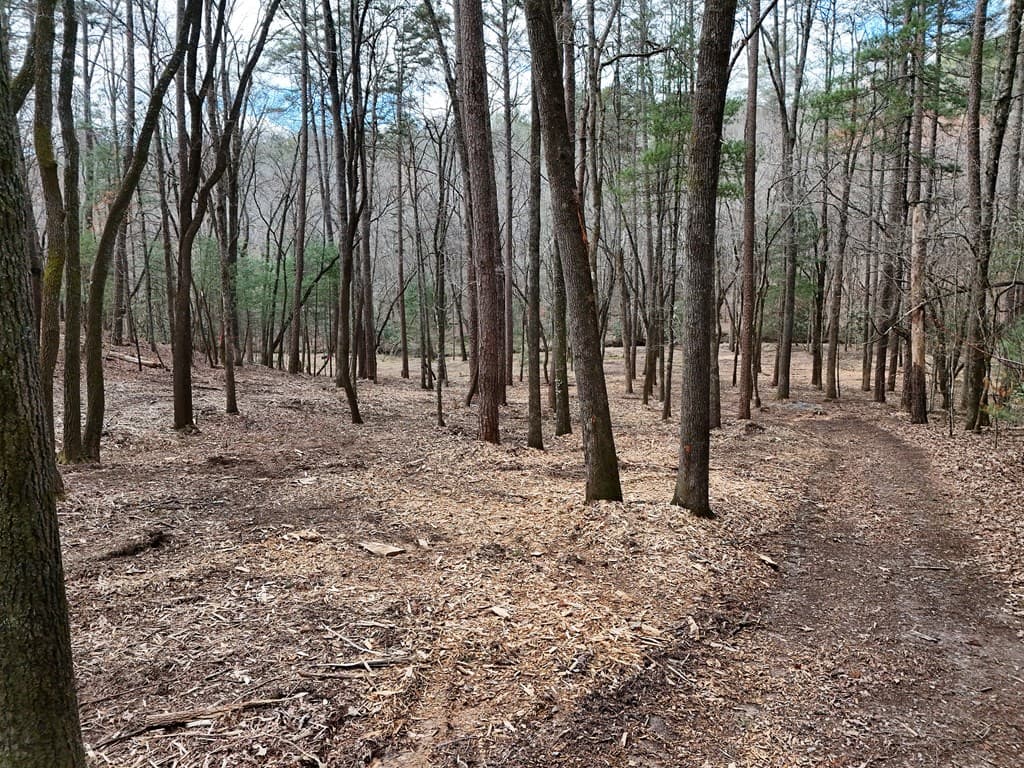 LT 45A Synacia Drive, Mineral Bluff GA 30559 - Photo