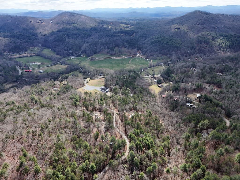 LT 45A Synacia Drive, Mineral Bluff GA 30559 - Photo
