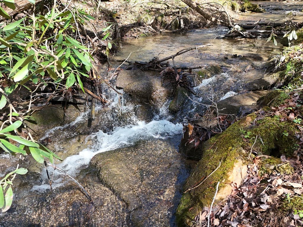 LT 45A Synacia Drive, Mineral Bluff GA 30559 - Photo