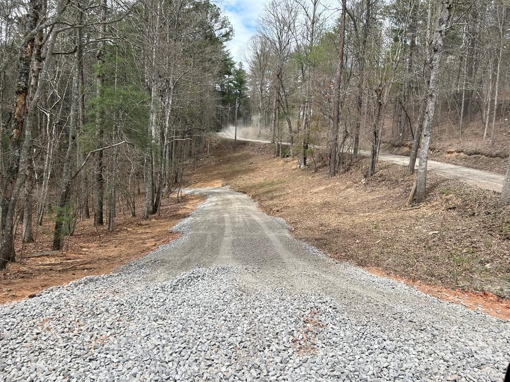 LT 45A Synacia Drive, Mineral Bluff GA 30559 - Photo