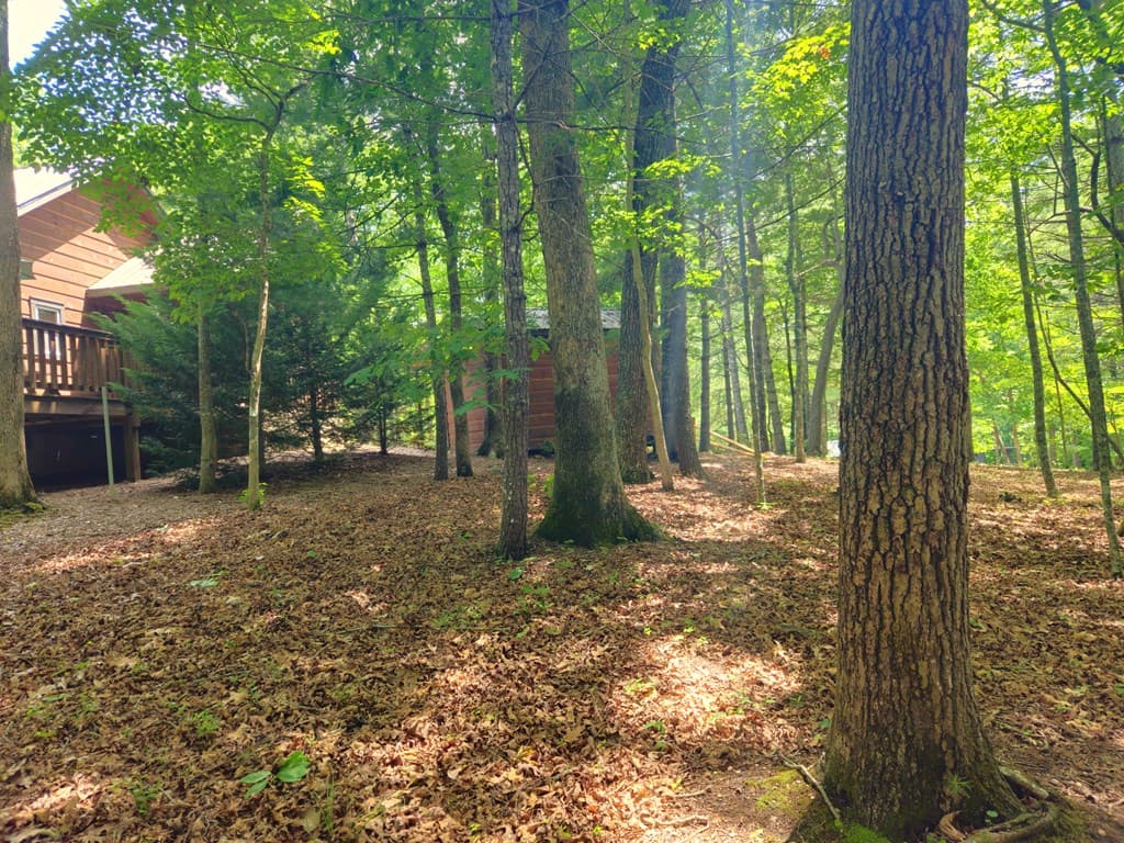 211 Winding Brook Trail, Morganton GA 30560 - Photo
