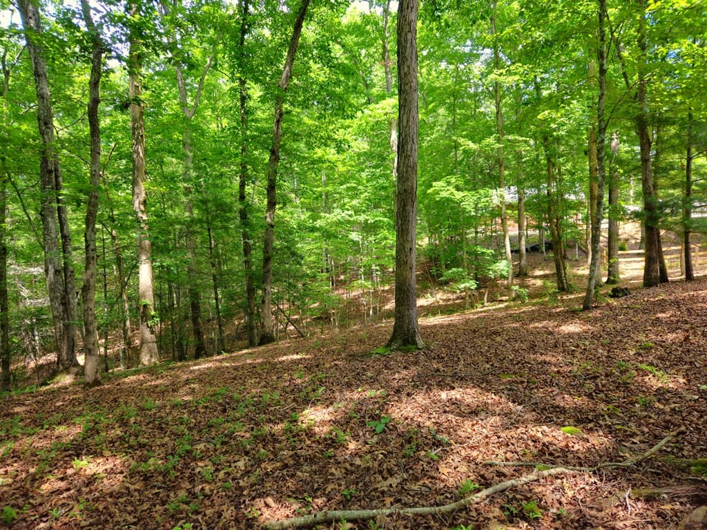 211 Winding Brook Trail, Morganton GA 30560 - Photo