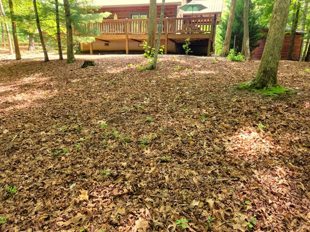 211 Winding Brook Trail, Morganton GA 30560 - Photo
