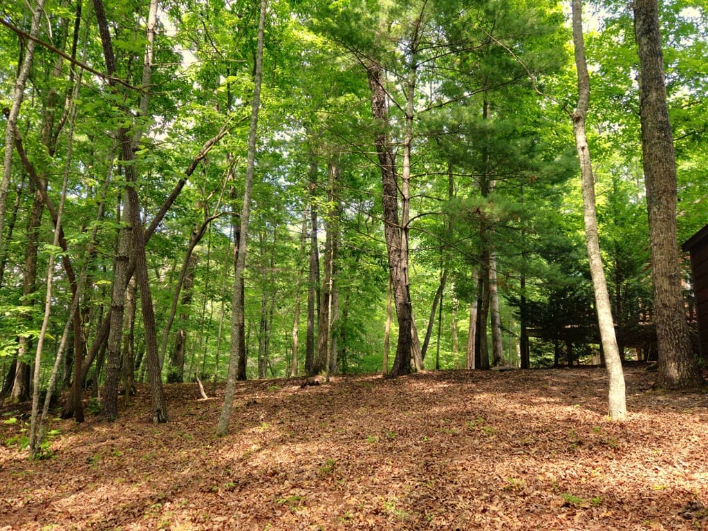 211 Winding Brook Trail, Morganton GA 30560 - Photo