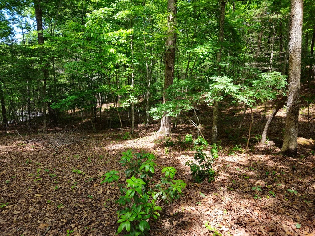 211 Winding Brook Trail, Morganton GA 30560 - Photo