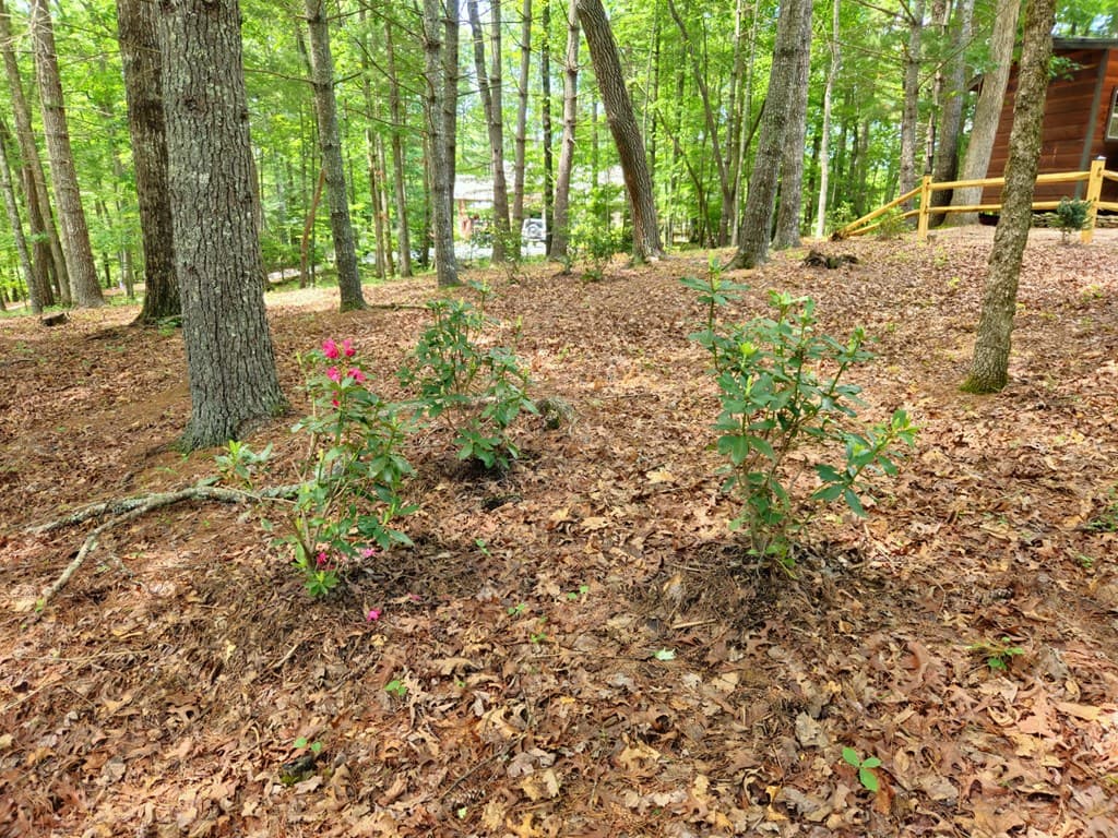 211 Winding Brook Trail, Morganton GA 30560 - Photo