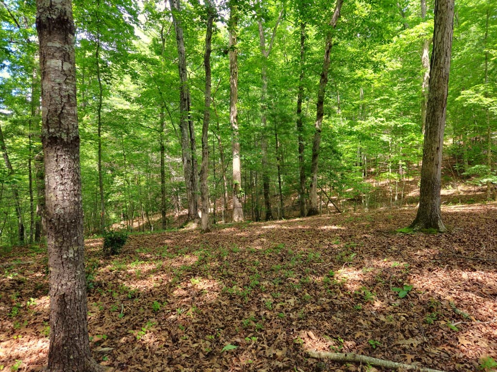 211 Winding Brook Trail, Morganton GA 30560 - Photo