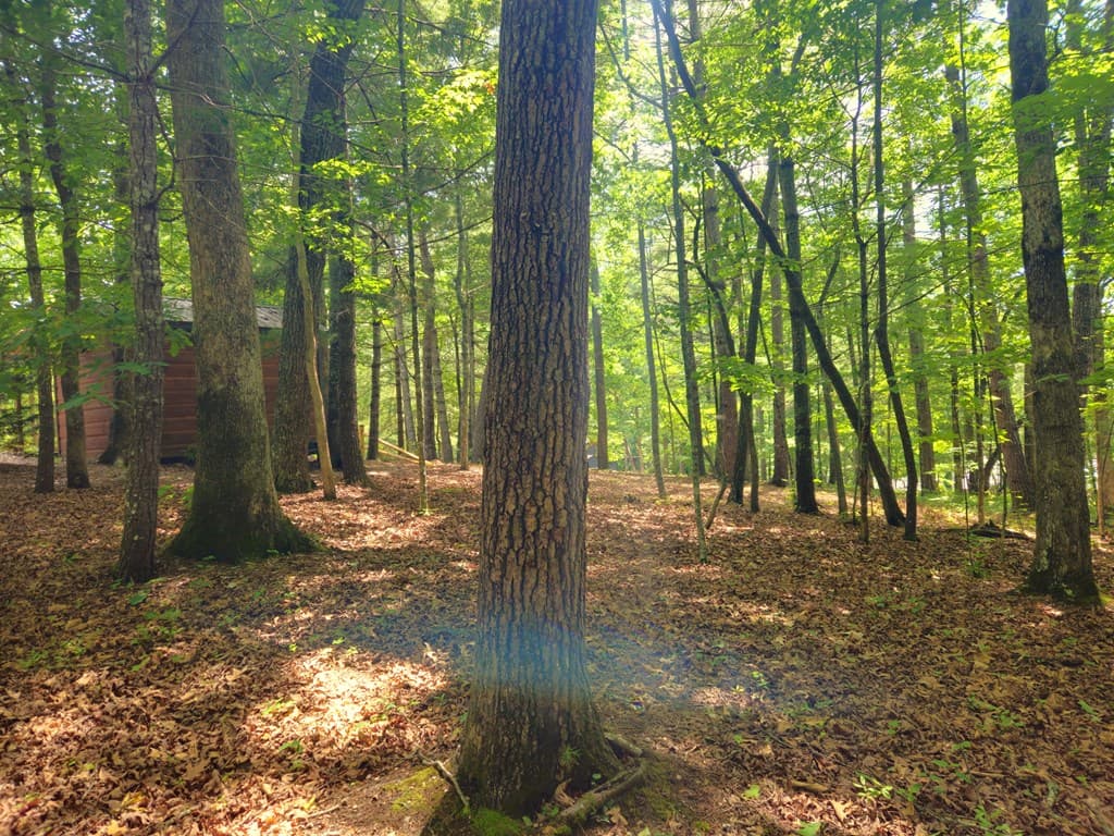 211 Winding Brook Trail, Morganton GA 30560 - Photo