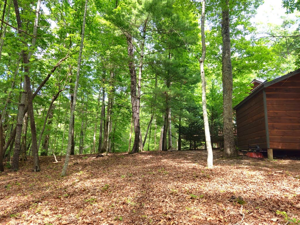 211 Winding Brook Trail, Morganton GA 30560 - Photo