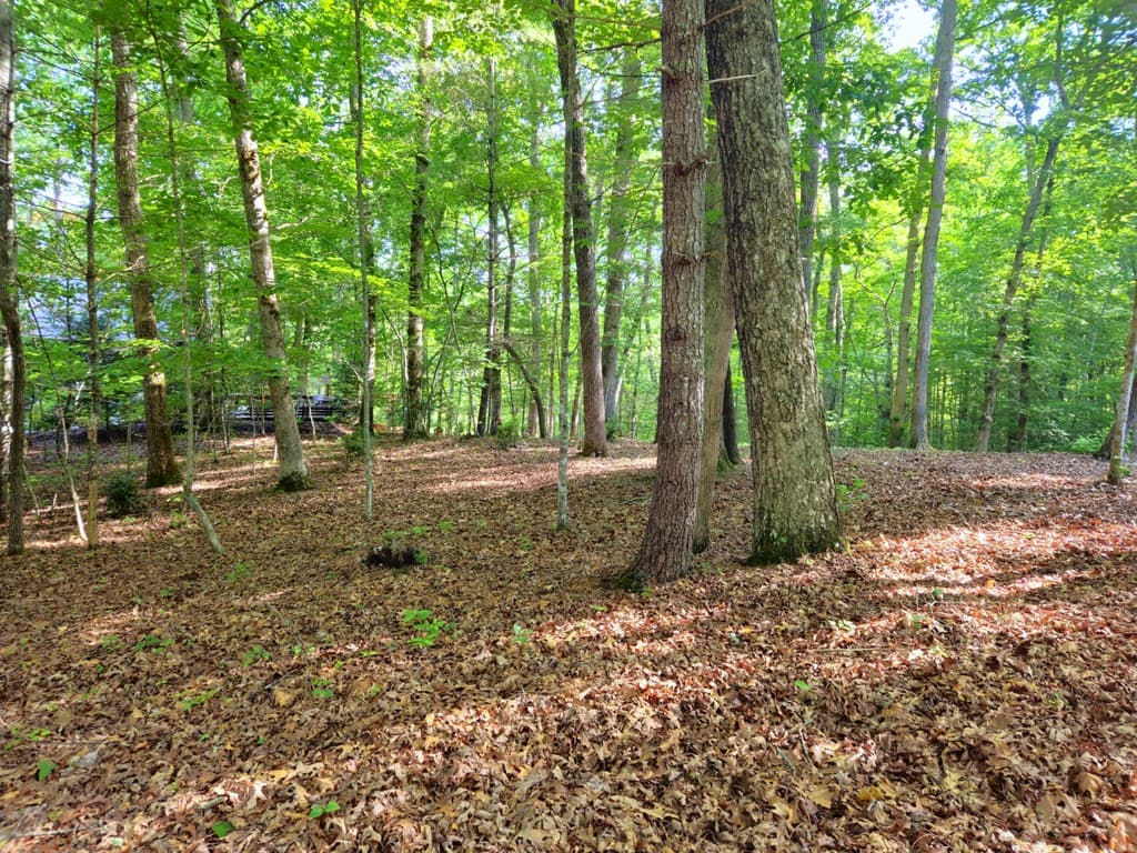 211 Winding Brook Trail, Morganton GA 30560 - Photo