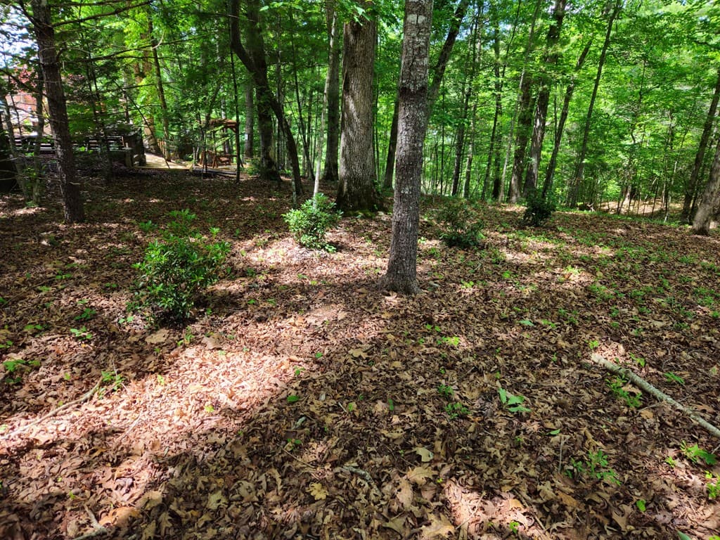 211 Winding Brook Trail, Morganton GA 30560 - Photo