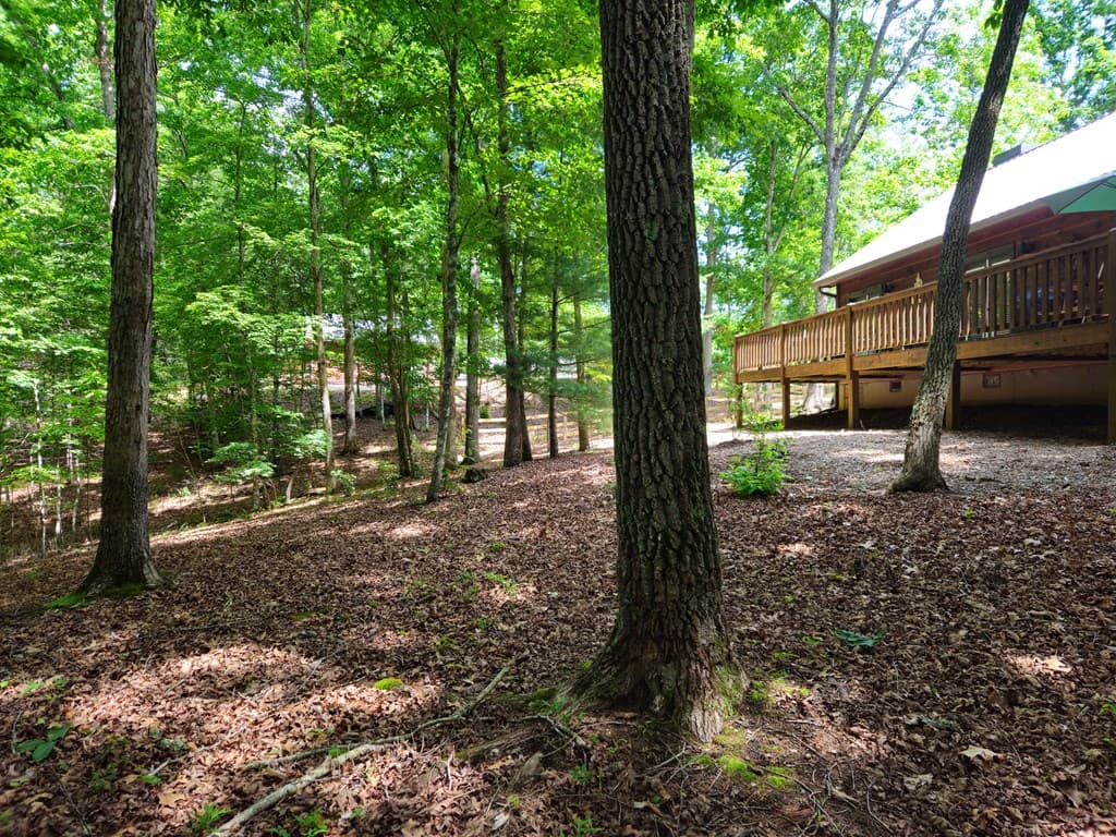 211 Winding Brook Trail, Morganton GA 30560 - Photo