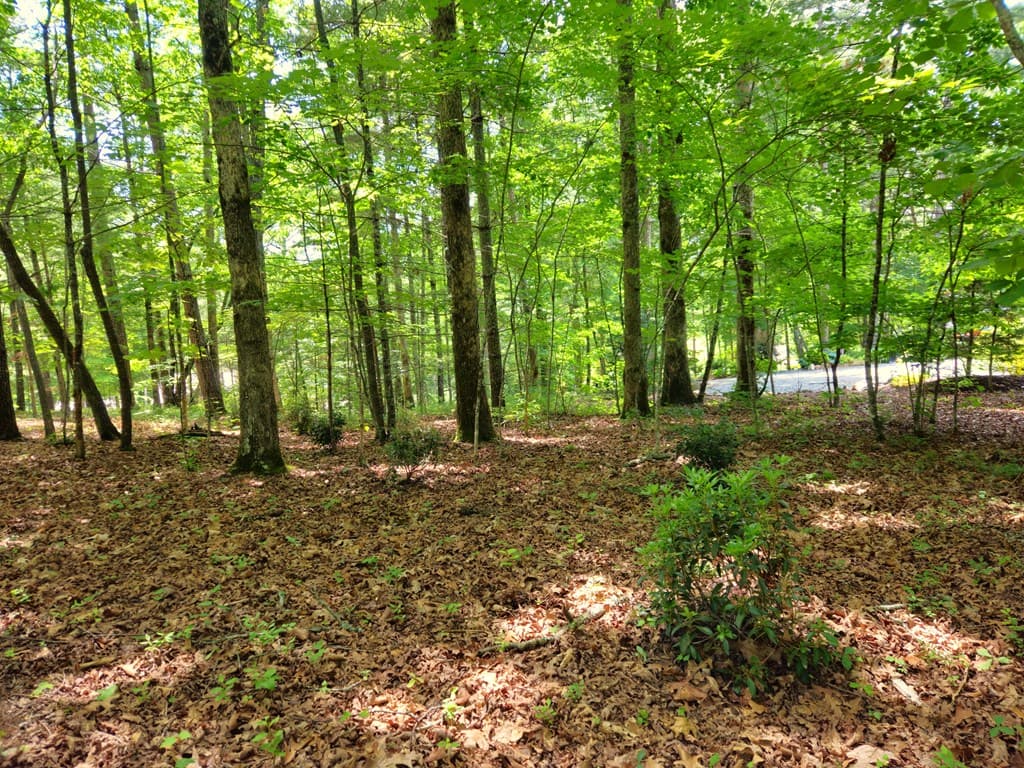 211 Winding Brook Trail, Morganton GA 30560 - Photo