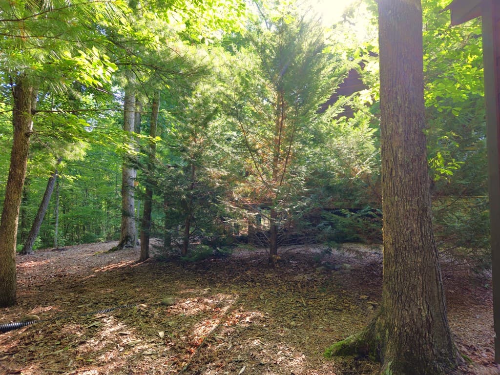 211 Winding Brook Trail, Morganton GA 30560 - Photo