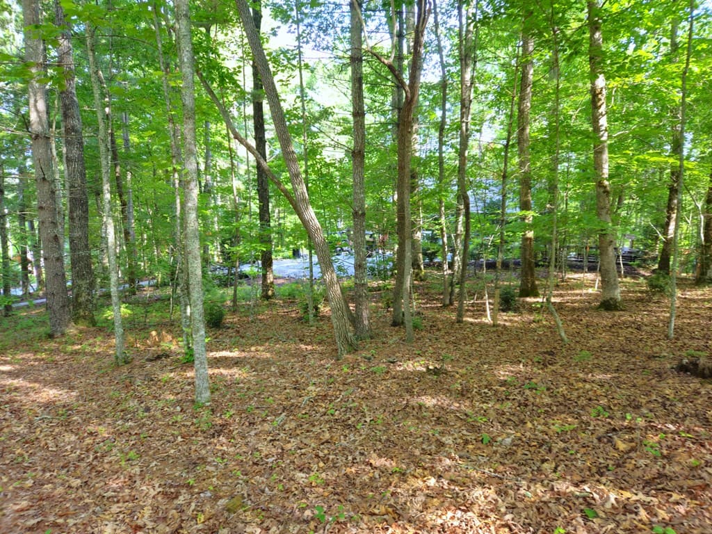 211 Winding Brook Trail, Morganton GA 30560 - Photo