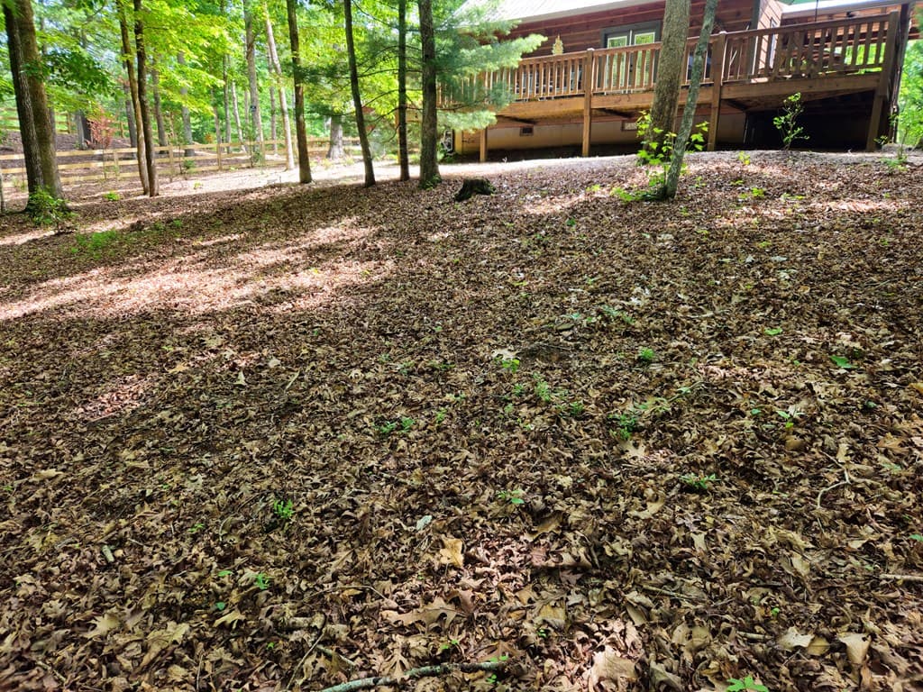 211 Winding Brook Trail, Morganton GA 30560 - Photo