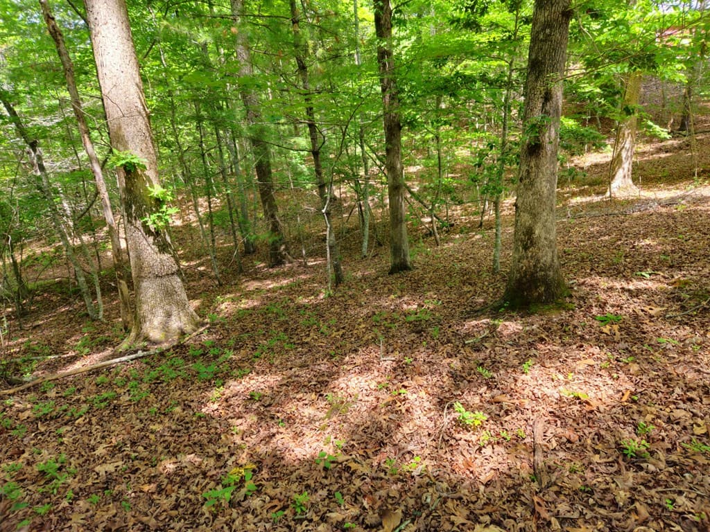 211 Winding Brook Trail, Morganton GA 30560 - Photo