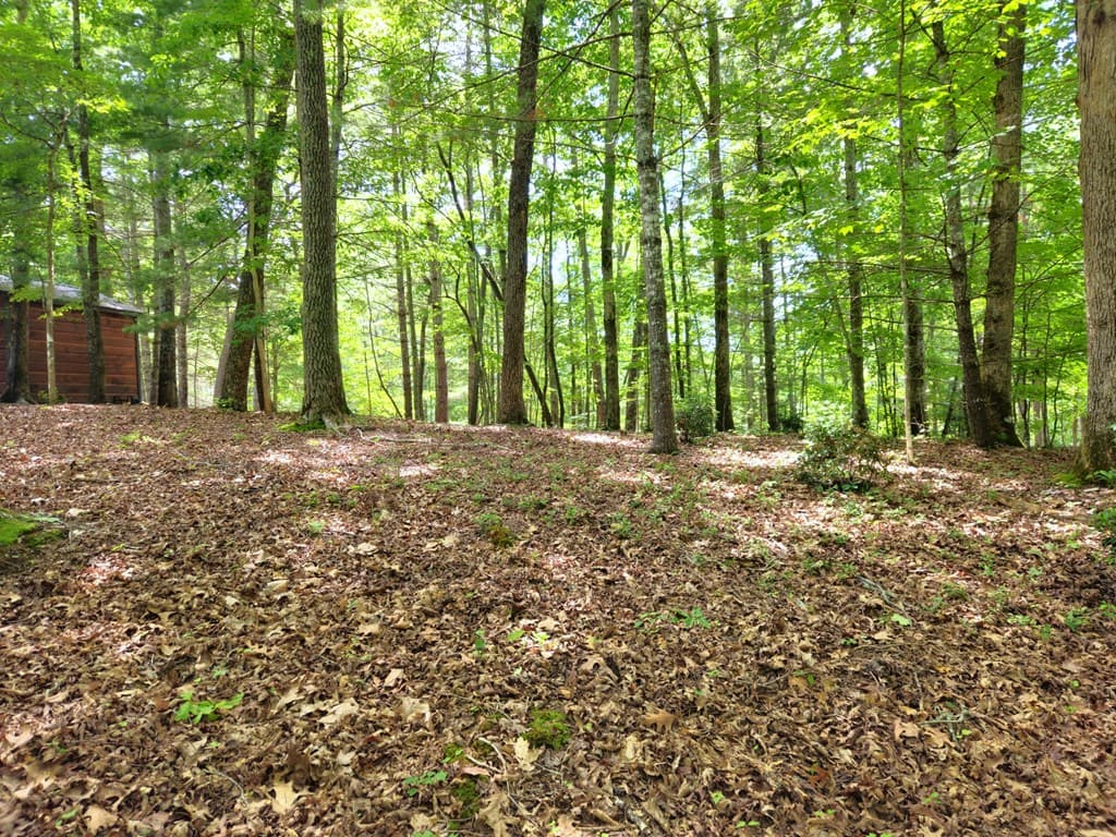 211 Winding Brook Trail, Morganton GA 30560 - Photo