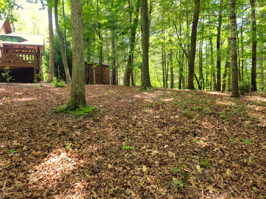 211 Winding Brook Trail, Morganton GA 30560 - Photo
