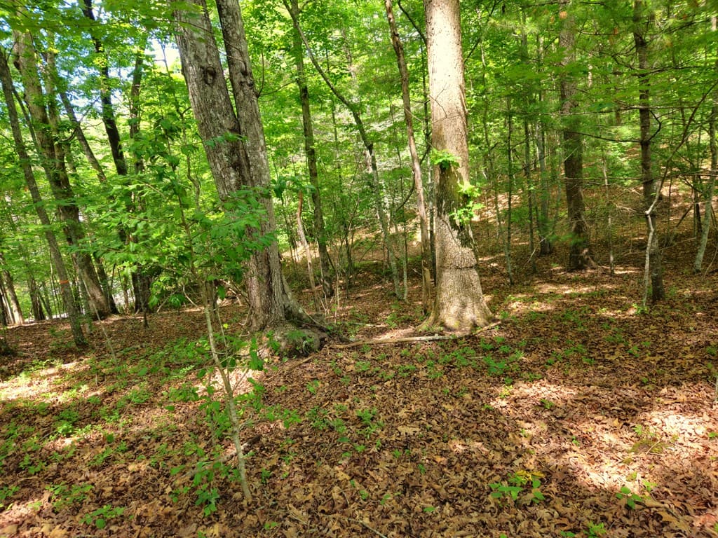 211 Winding Brook Trail, Morganton GA 30560 - Photo