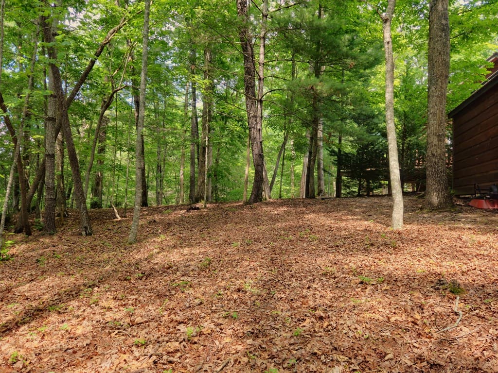 211 Winding Brook Trail, Morganton GA 30560 - Photo