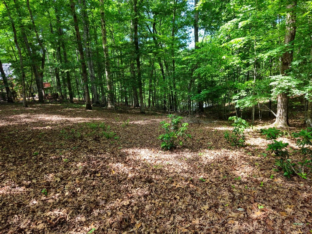 211 Winding Brook Trail, Morganton GA 30560 - Photo