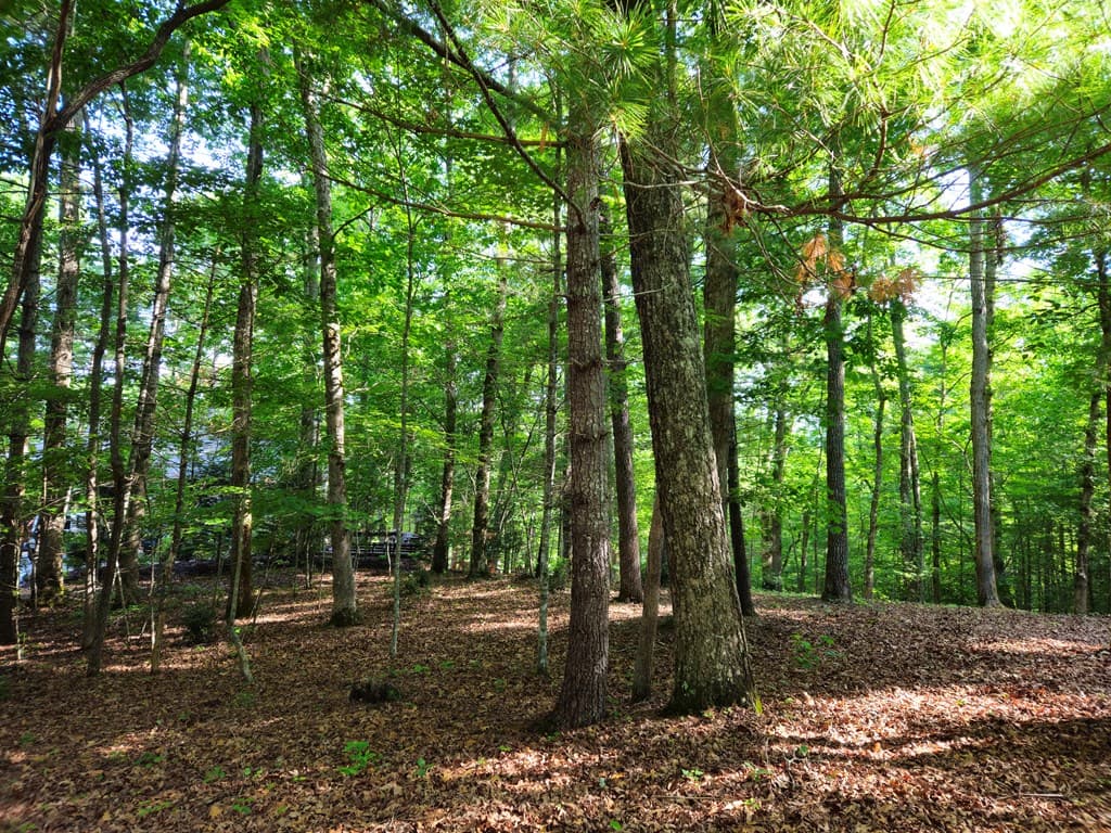 211 Winding Brook Trail, Morganton GA 30560 - Photo