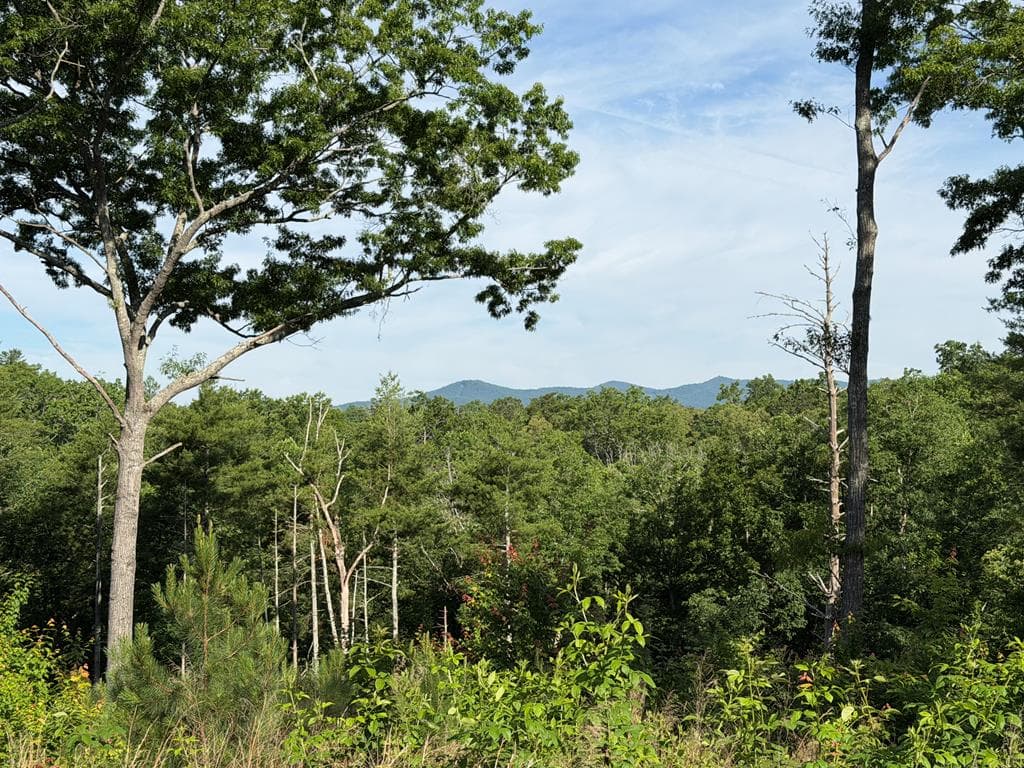 LT 304 Greenwood Court, Ellijay GA 30540 - Photo