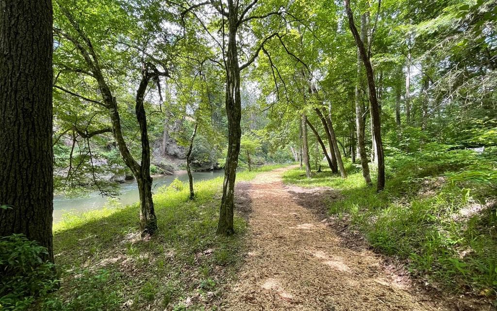 LT 304 Greenwood Court, Ellijay GA 30540 - Photo
