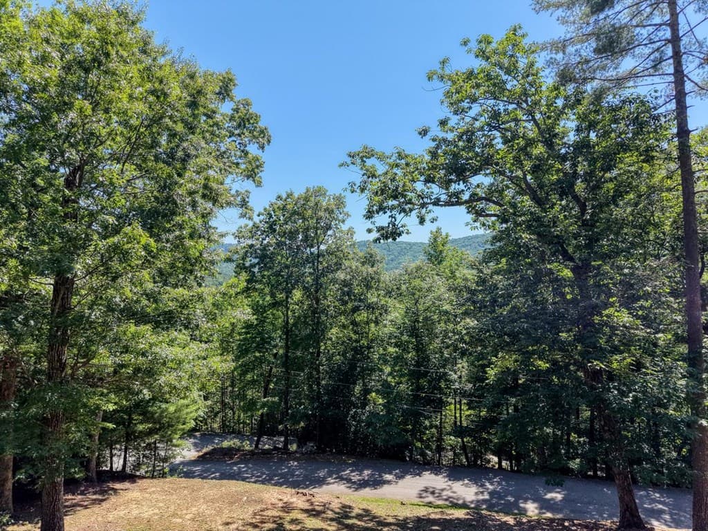 276 Lancelot Loop, Clayton GA 30525 - Photo