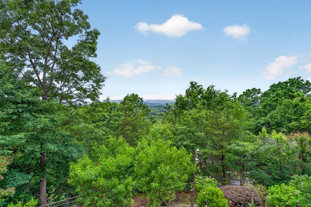 40 Foxfire Lane, Blue Ridge GA 30513 - Photo