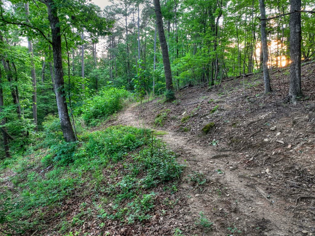 270 Wild Oaks Way, Ellijay GA 30540 - Photo