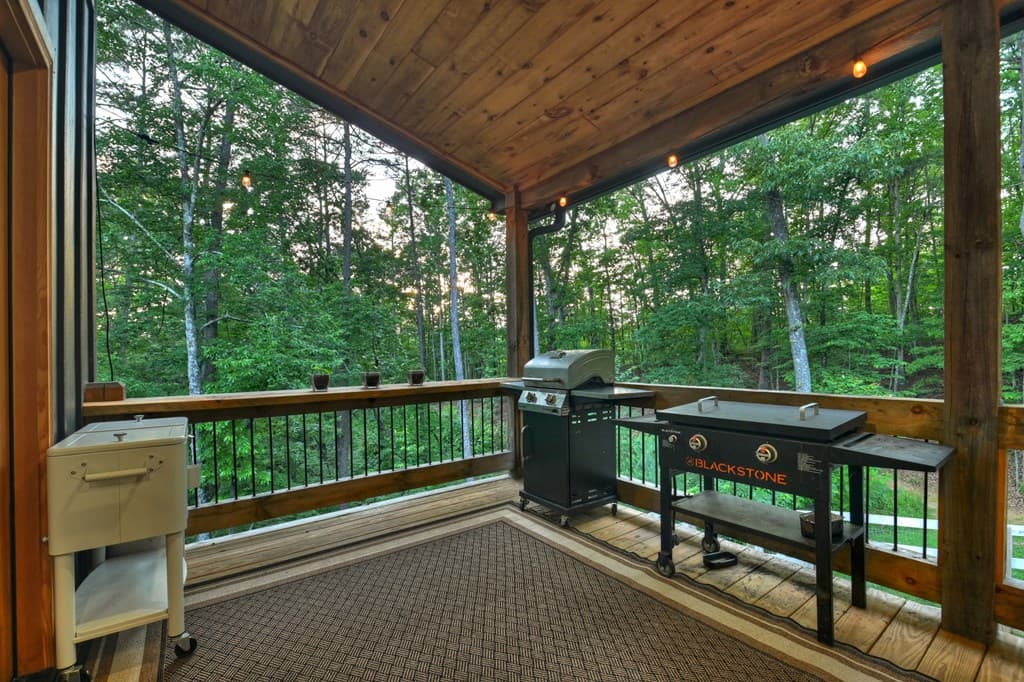 270 Wild Oaks Way, Ellijay GA 30540 - Photo