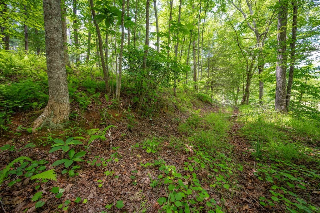 1.57AC Faith Hill Road, Mccaysville GA 30555 - Photo