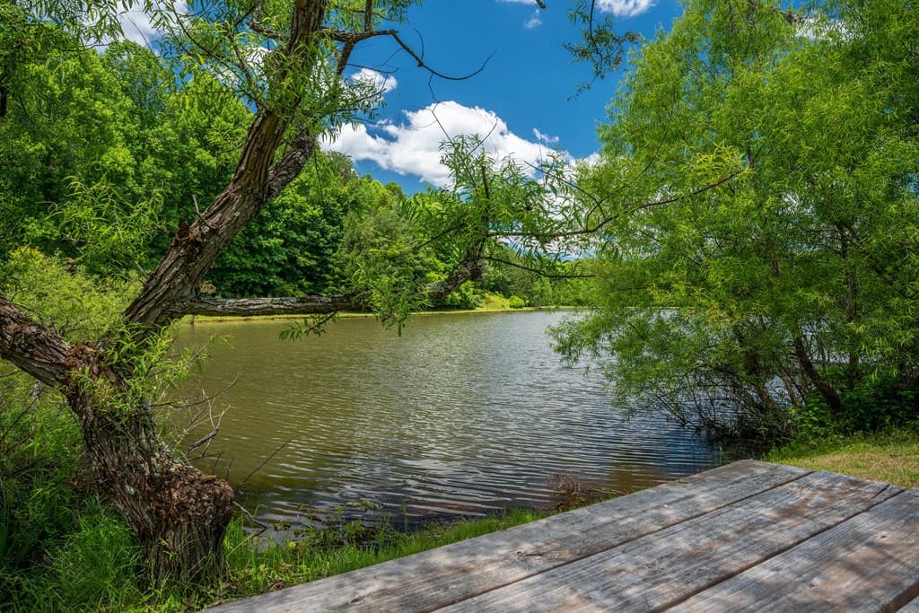 1.57AC Faith Hill Road, Mccaysville GA 30555 - Photo
