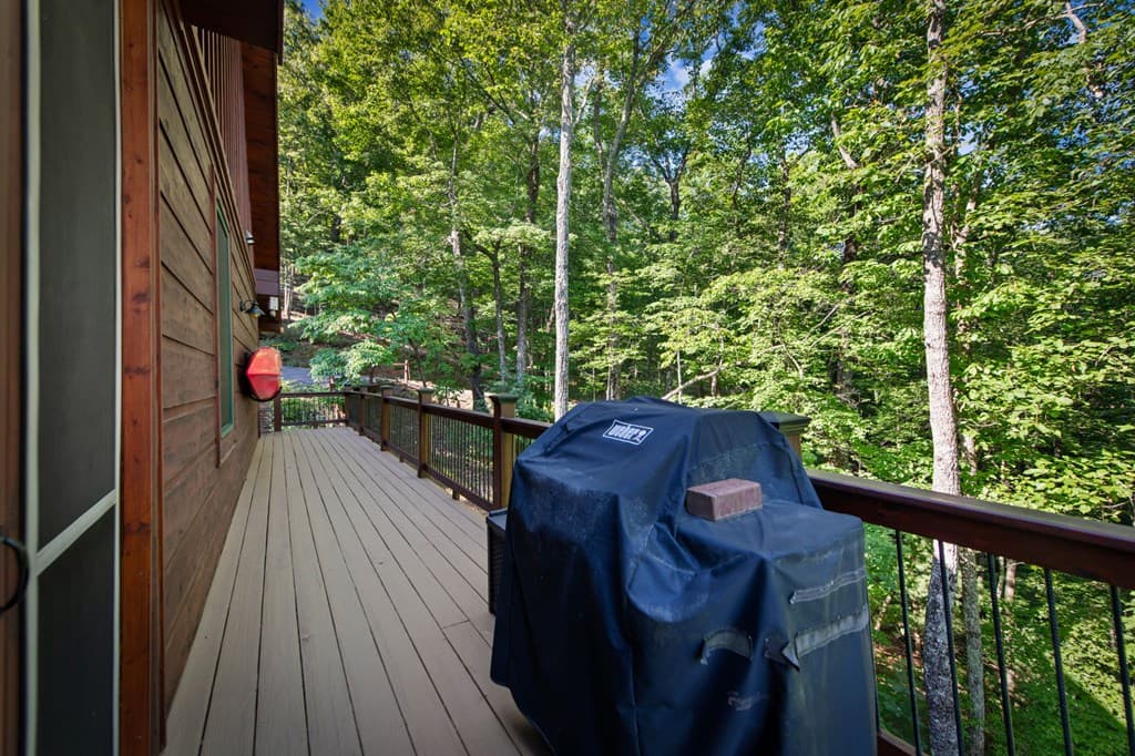 169 Walnut Mountain Road, Ellijay GA 30540 - Photo