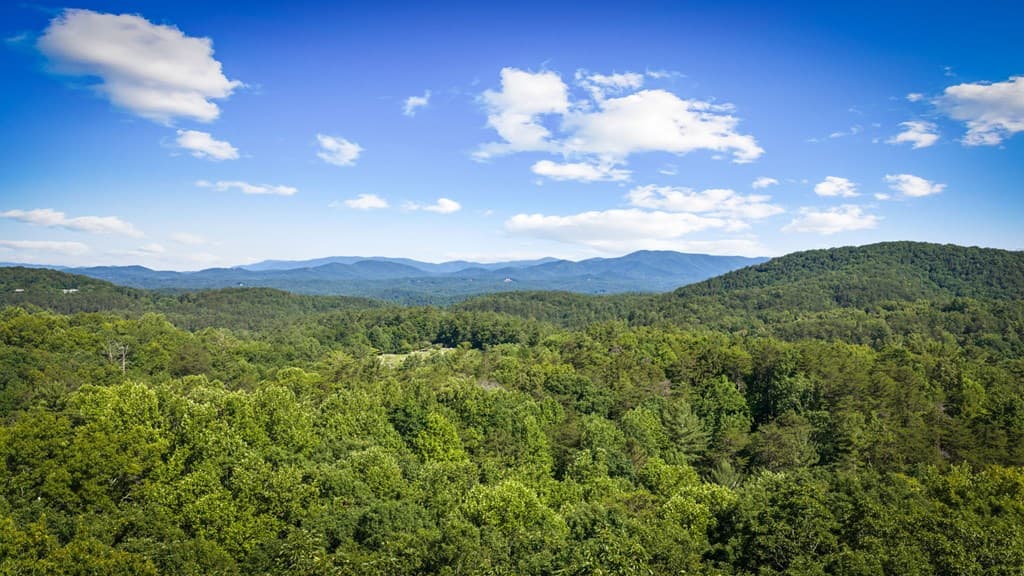 169 Walnut Mountain Road, Ellijay GA 30540 - Photo