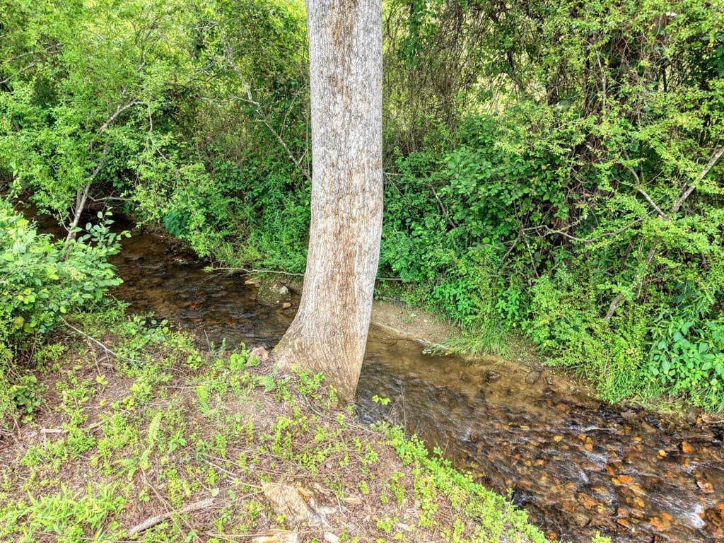 233 Messer Rd (3), Warne NC 28909 - Photo