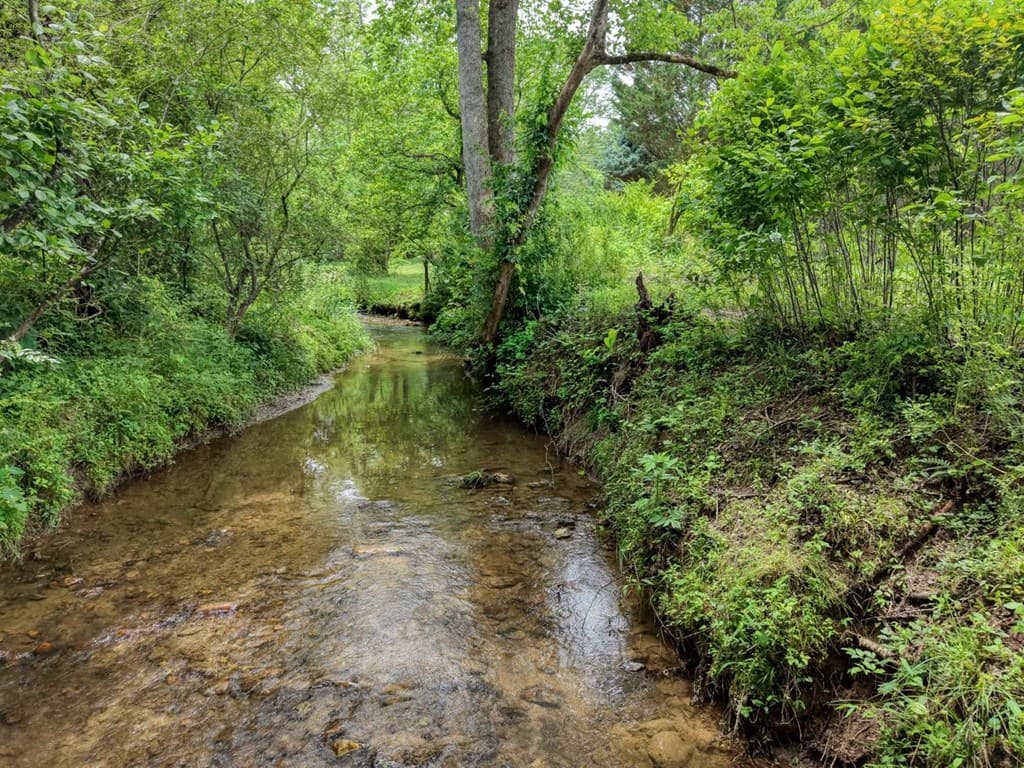 233 Messer Rd (3), Warne NC 28909 - Photo