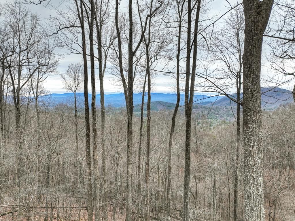1189 Walnut Ridge, Ellijay GA 30536 - Photo