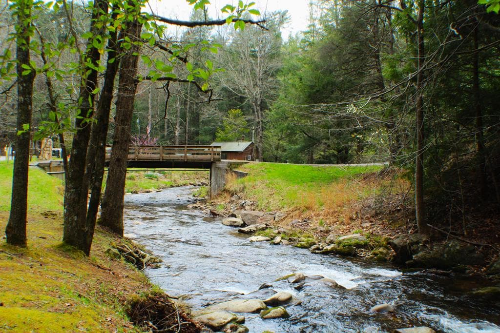 1189 Walnut Ridge, Ellijay GA 30536 - Photo