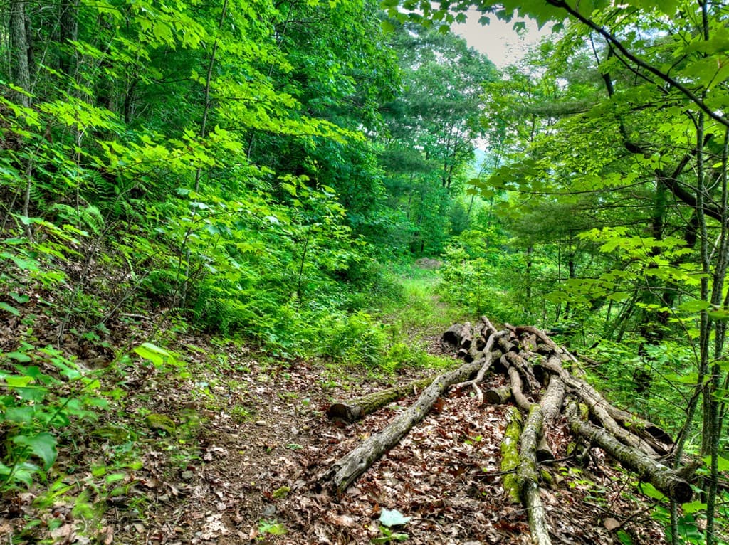 35 Utana Bluff Trails, Ellijay GA 30540 - Photo