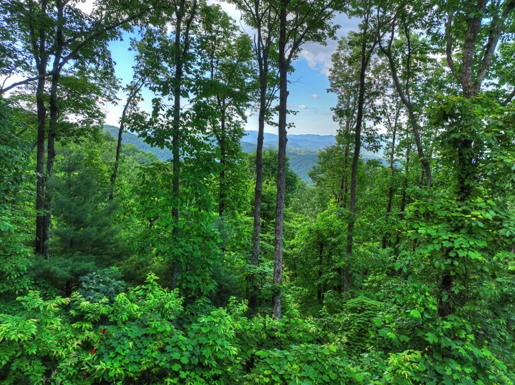35 Utana Bluff Trails, Ellijay GA 30540 - Photo