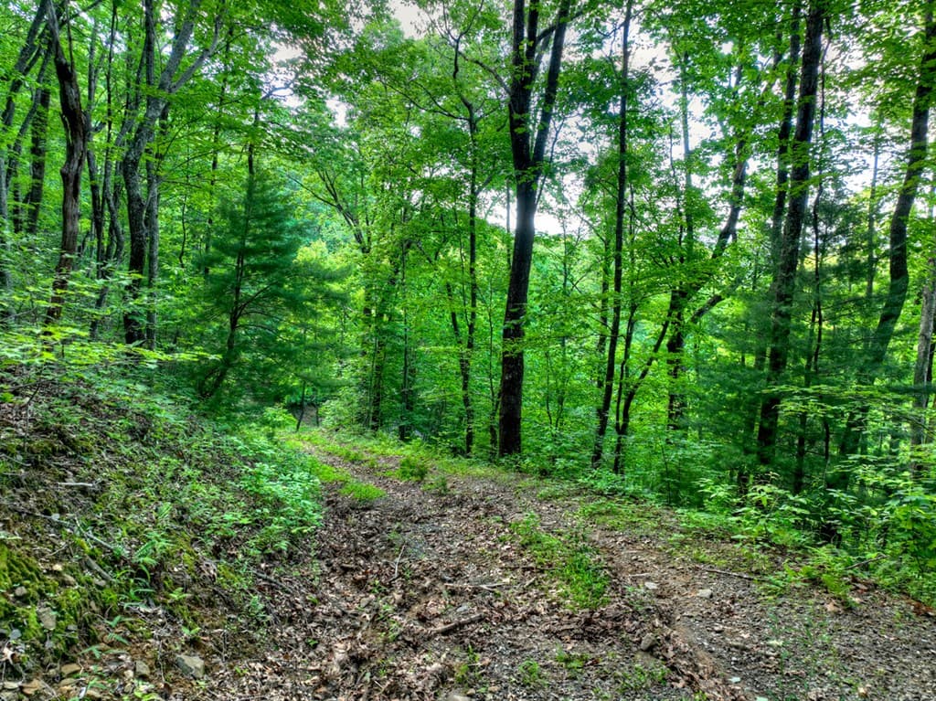 35 Utana Bluff Trails, Ellijay GA 30540 - Photo