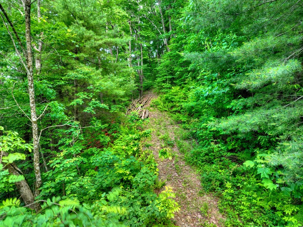 35 Utana Bluff Trails, Ellijay GA 30540 - Photo