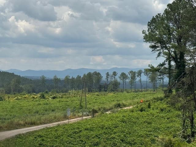 5.0 Acs Hwy 64, Copperhill TN 37317 - Photo