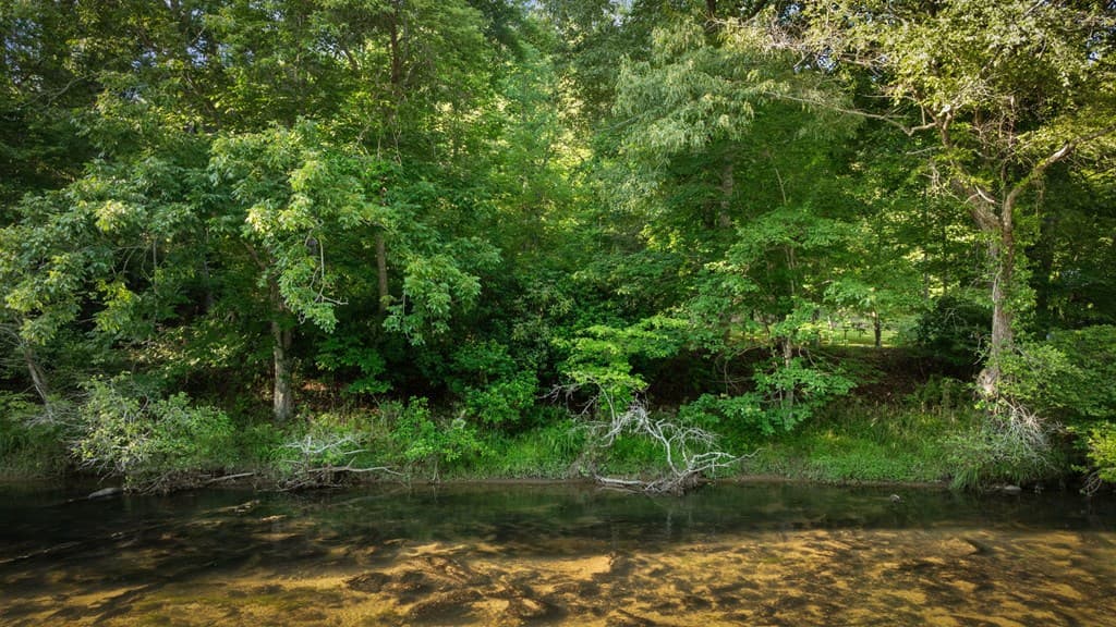 2.48 Acr Valley Lane, Mineral Bluff GA 30559 - Photo
