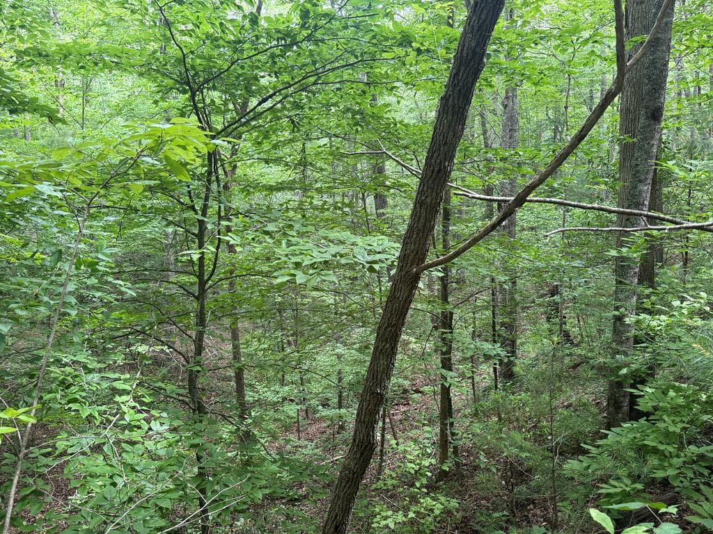 1 ac Spiva Cove Circle, Blairsville GA 30512 - Primary photo